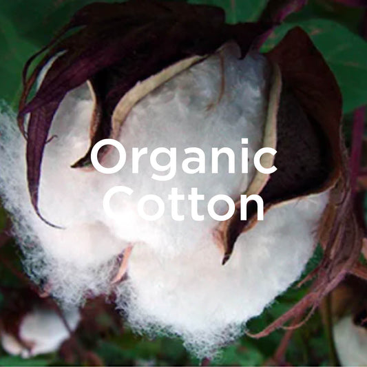 Organic Cotton: grown without shortcuts